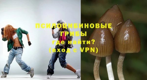 apvp Бронницы