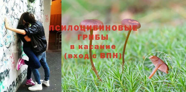 кокаин перу Богородицк